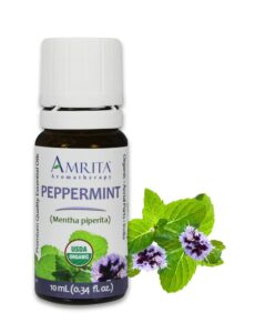 Peppermint-Essential-Oil-Amrita