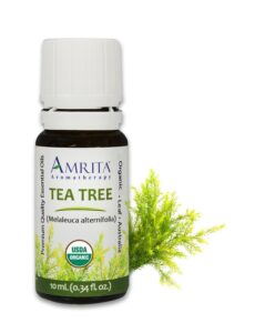 Tea-Tree-Essential-Oil-Amrita
