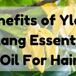 Benefits of Ylang Ylang Essential Oil For Hair