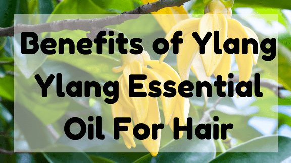 Benefits of Ylang Ylang Essential Oil For Hair
