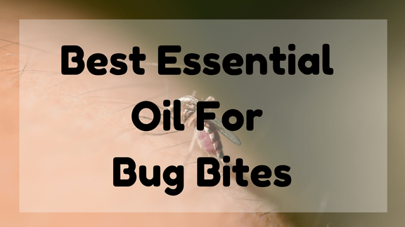 Best Essential Oil for Bug Bites