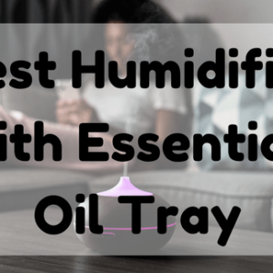 Best Humidifier with Essential Oil Tray