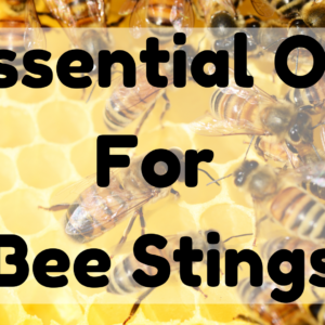 Essential Oil For Bee Stings