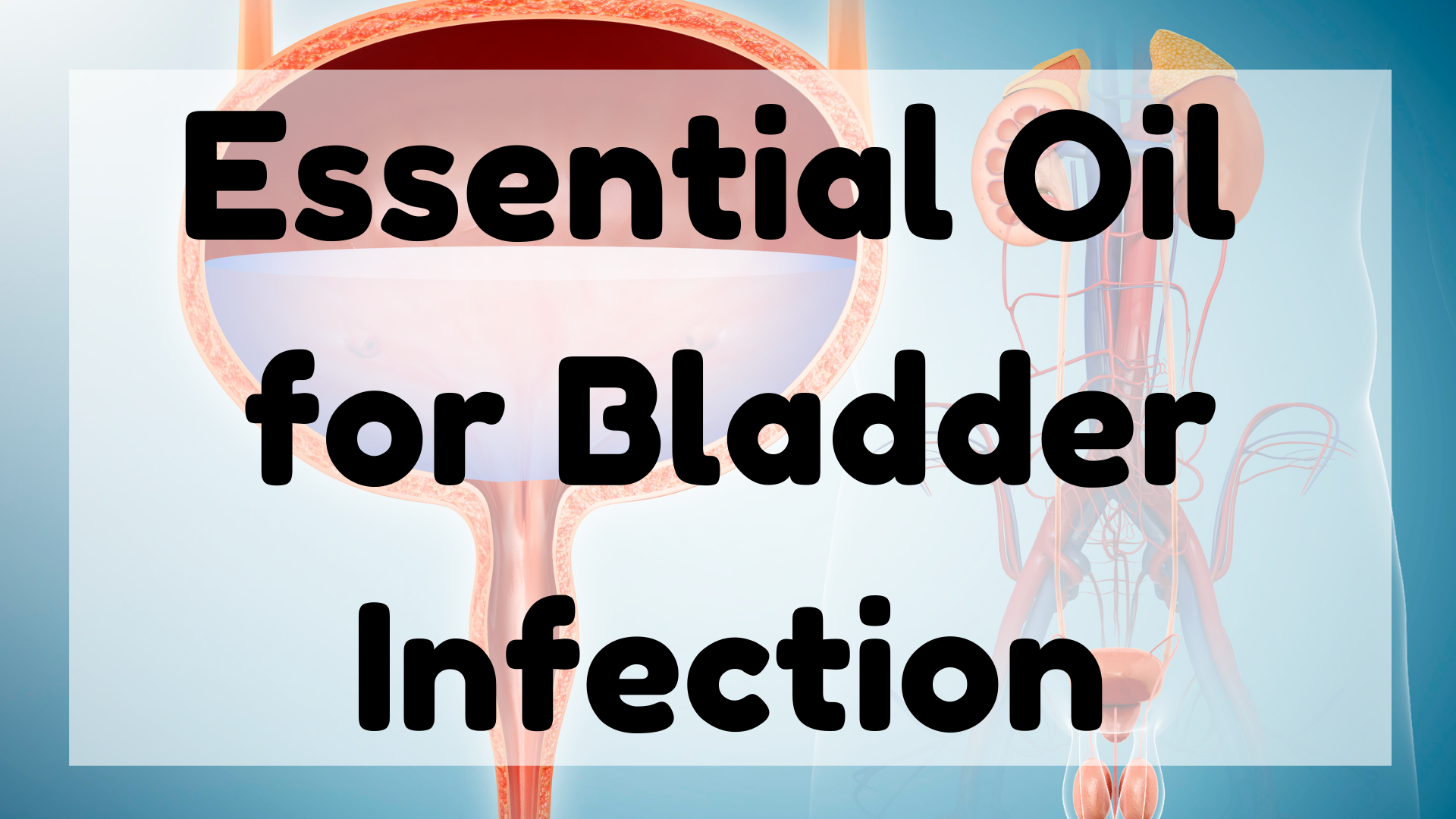 Essential Oil For Bladder Infection