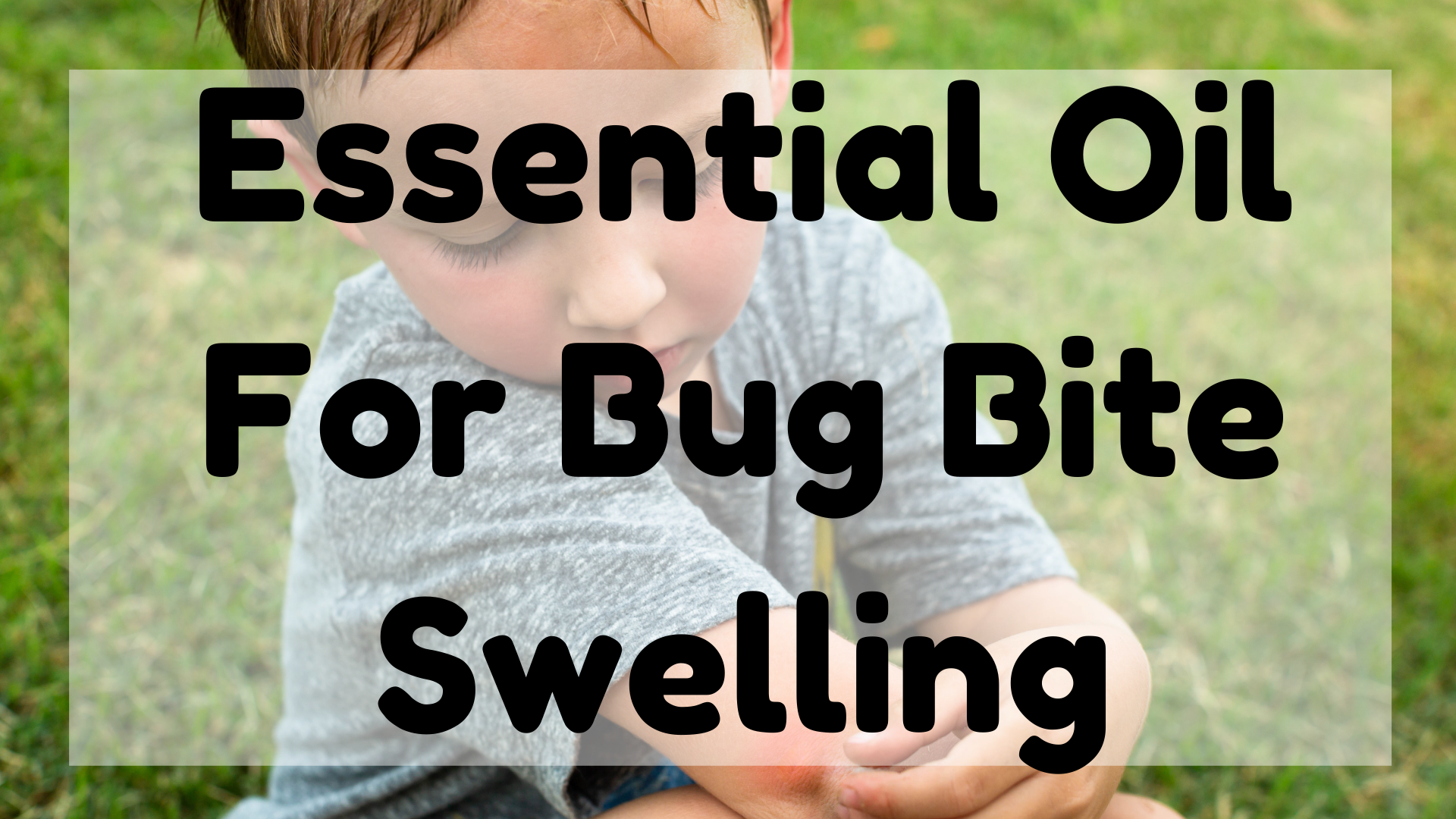 Essential Oil For Bug Bite Swelling