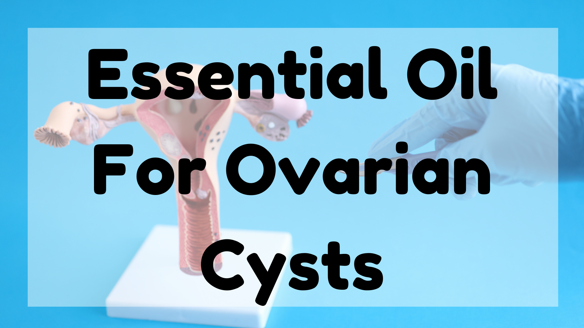 Essential Oil For Ovarian Cysts