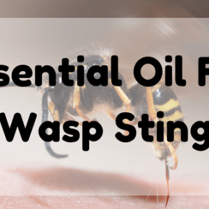 Essential Oil For Wasp Sting
