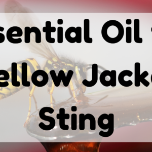 Essential Oil For Yellow Jacket Sting