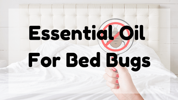Essential Oil for Bed Bugs