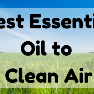 Best Essential Oil to Clean Air