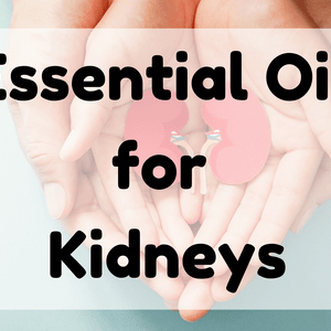 Essential Oil For Kidneys