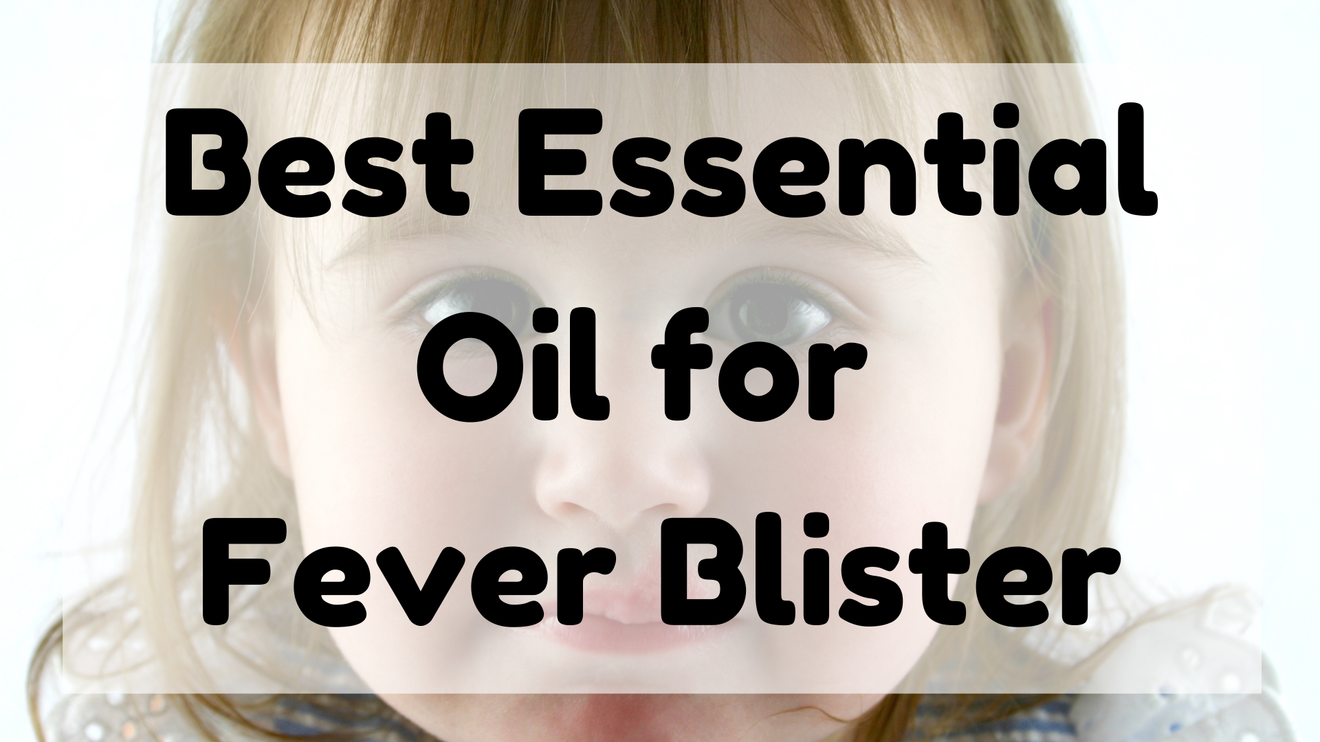 Best Essential Oil for Fever Blister featured image