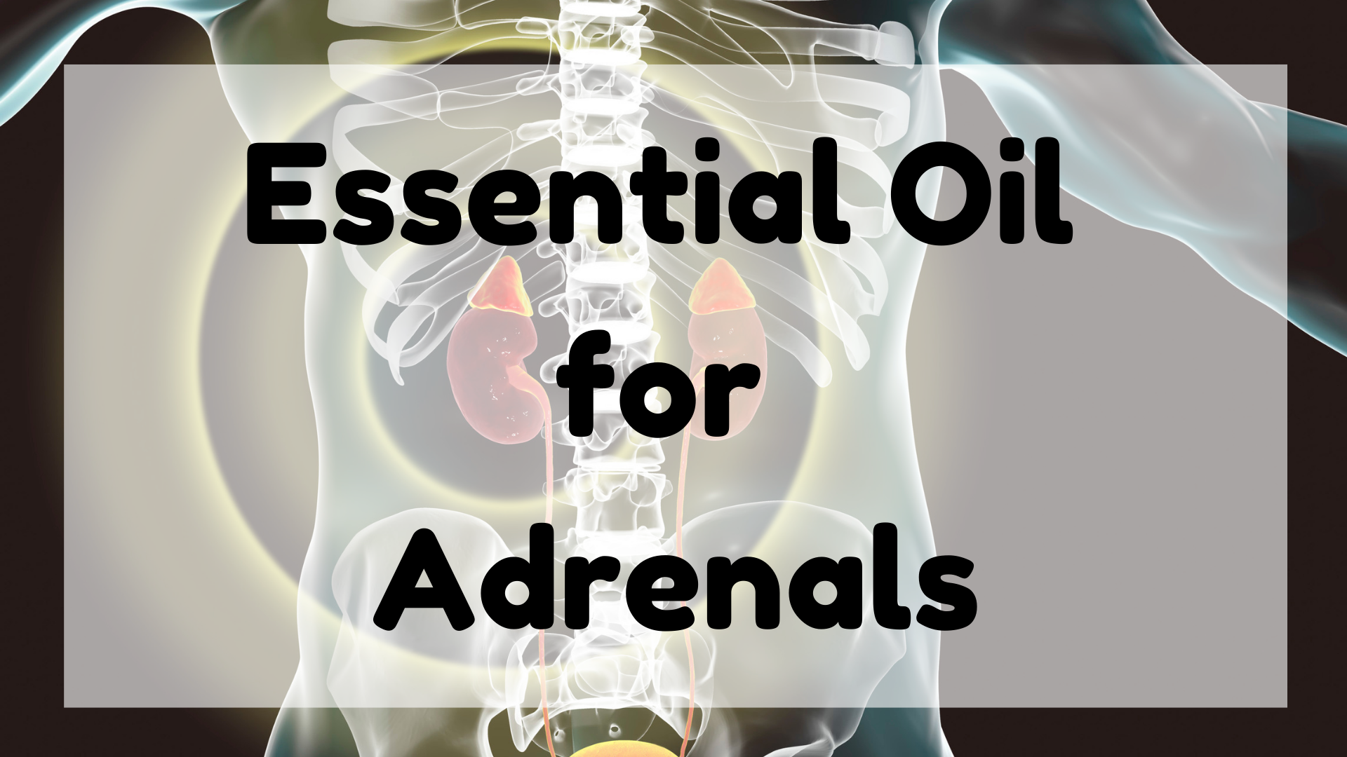 Essential Oil for Adrenals featured image