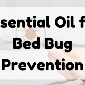 Essential Oil for Bed Bug Prevention featured image