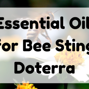 Essential Oil for Bee Sting Doterra featured image