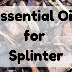 Essential Oil for Splinter featured image
