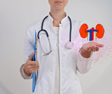 doctor showing kidney health