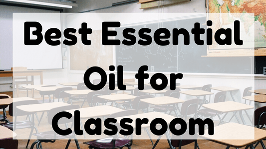 Best Essential Oil for Classroom featured image
