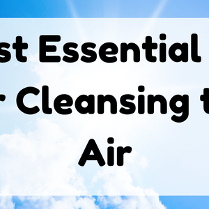 Best Essential Oil for Cleansing the Air featured image