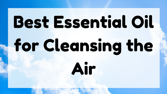 Best Essential Oil for Cleansing the Air featured image