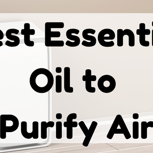 Best Essential Oil to Purify Air featured image