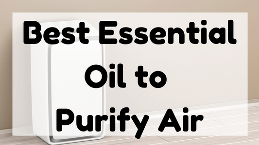 Best Essential Oil to Purify Air featured image