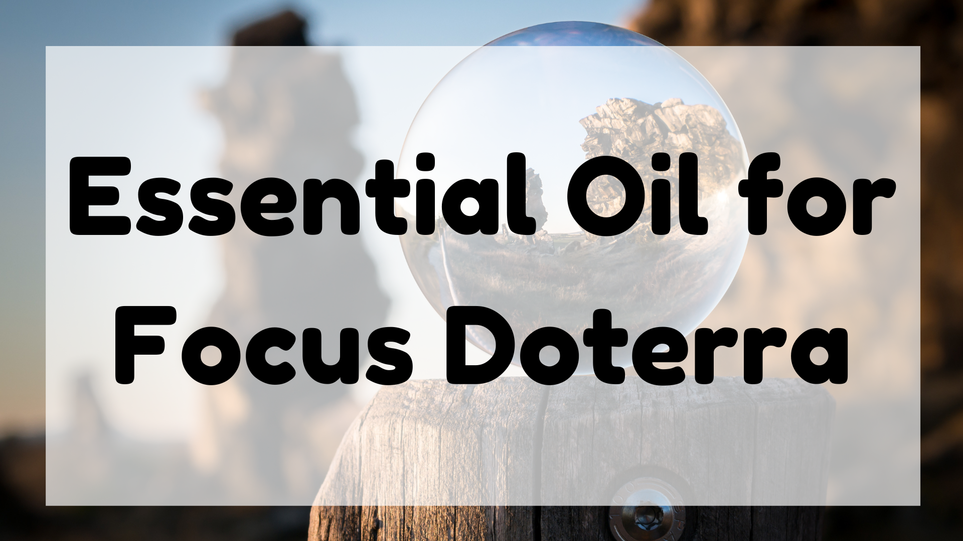 Essential Oil for Focus Doterra featured image