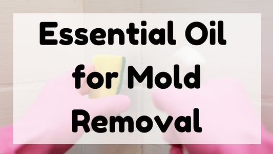 Essential Oil for Mold Removal featured image