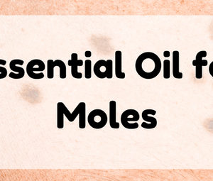 Essential Oil for Moles featured image