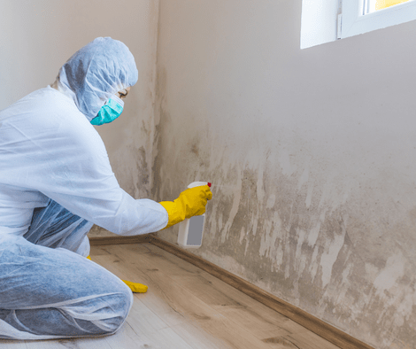 man doing mold removal 