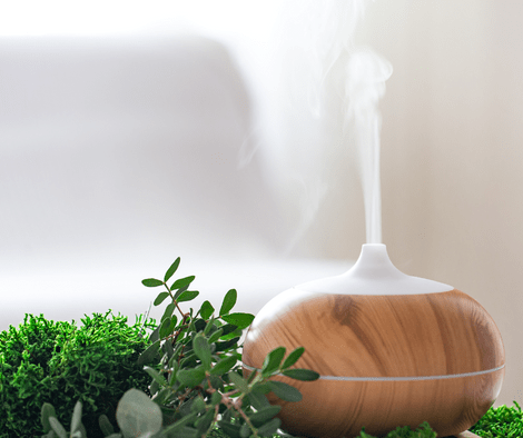 oil diffuser and plants