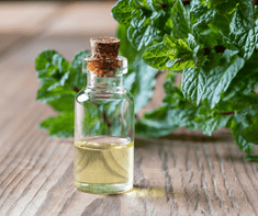 peppermint essential oil for UTI 
