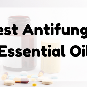 Best Antifungal Essential Oil featured image