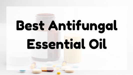 Best Antifungal Essential Oil featured image