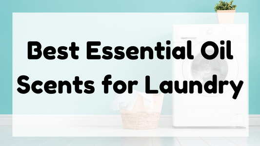 Best Essential Oil Scents for Laundry featured image