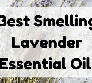 Best Smelling Lavender Essential Oil featured image