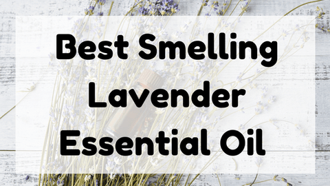 Best Smelling Lavender Essential Oil featured image