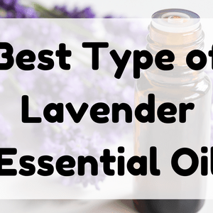 Best Type of Lavender Essential Oil featured image