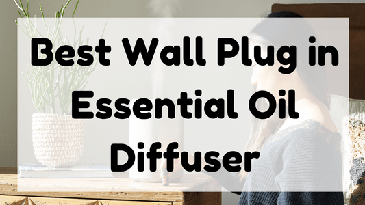 Best Wall Plug in Essential Oil Diffuser featured image
