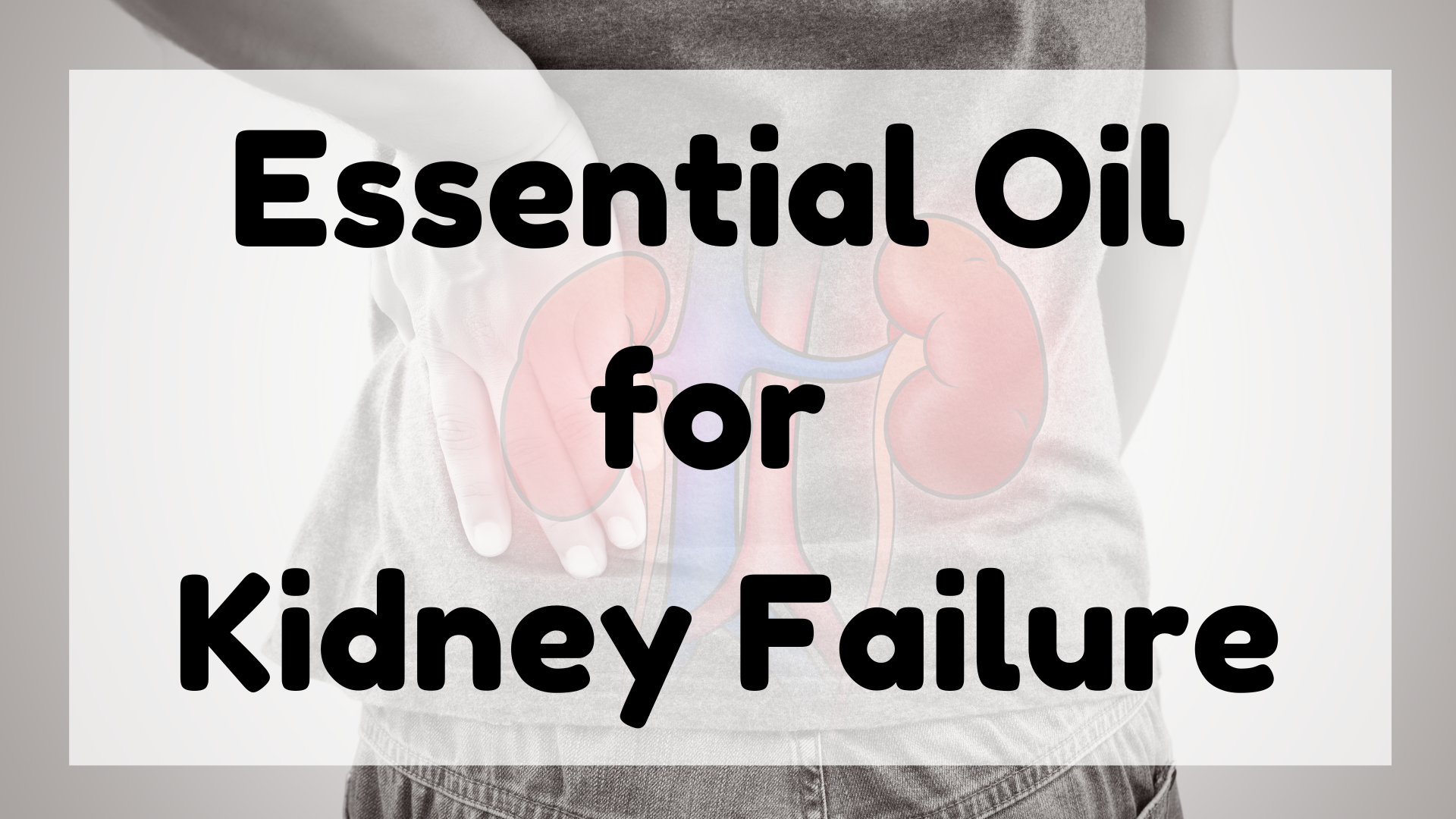 Essential Oil for Kidney Failure featured image
