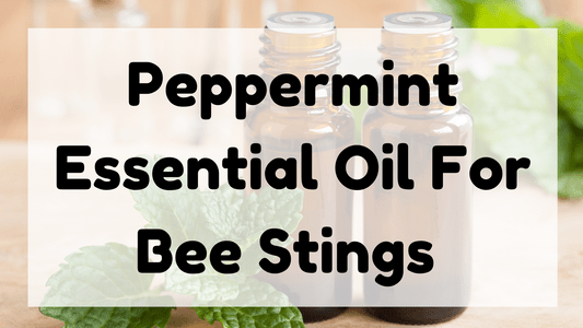 Peppermint Essential Oil For Bee Stings featured image