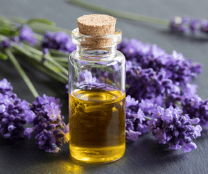 best smelling lavender oil